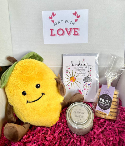 Mollie and Fred Gifts Novelty Gifts Sending Healing Thoughts and Positive Vibes Hamper