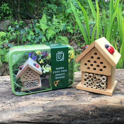 Widdop Gifts Novelty Gifts Build An Insect House Gift in a Tin