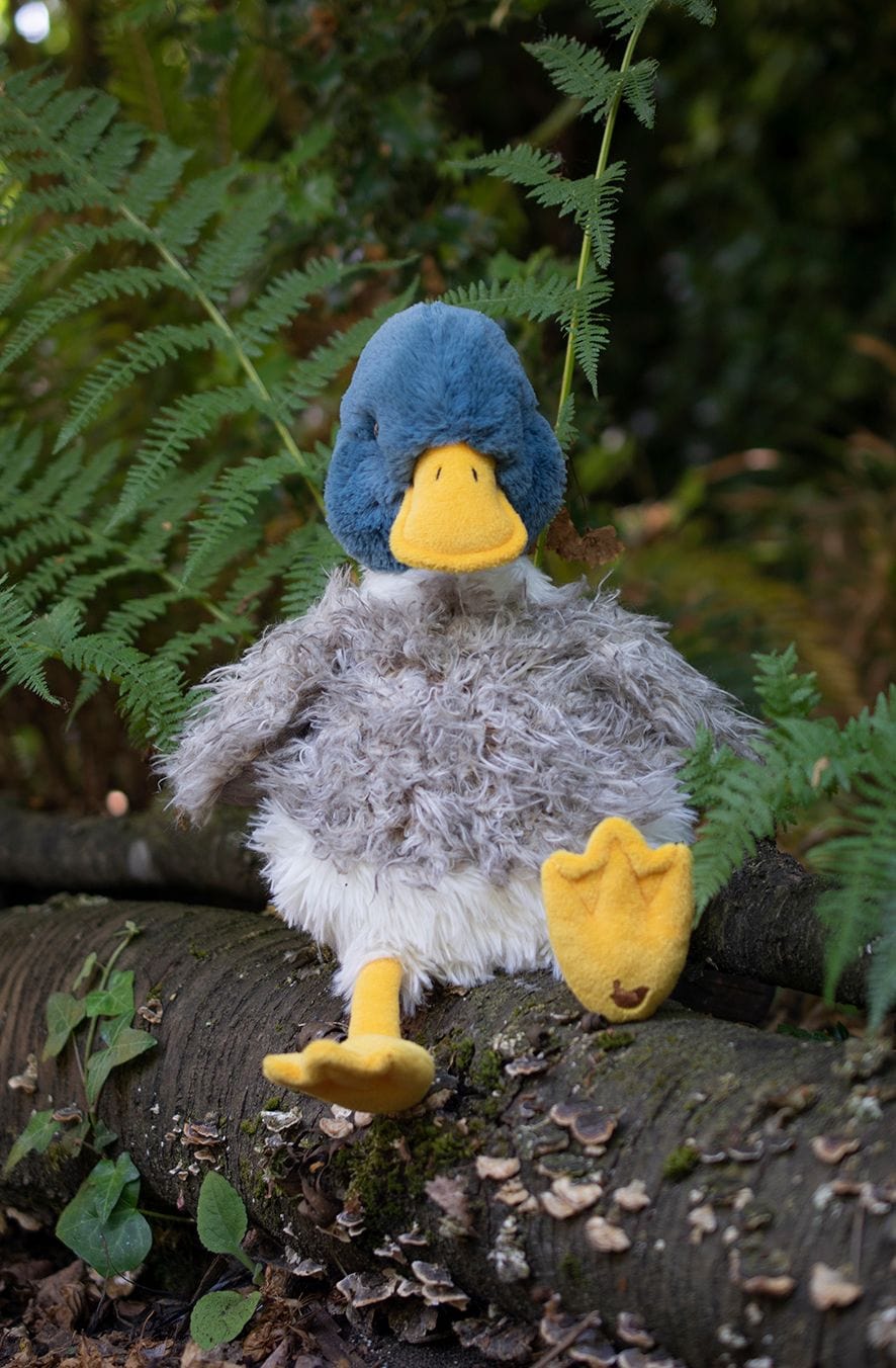 Wrendale Designs Childrens Toys and Games Duck 'Webster' Choice of Plush Character