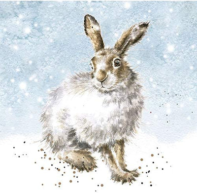 Mollie and Fred Gifts Winter Hare Set of 8 Luxury Foiled Christmas Cards